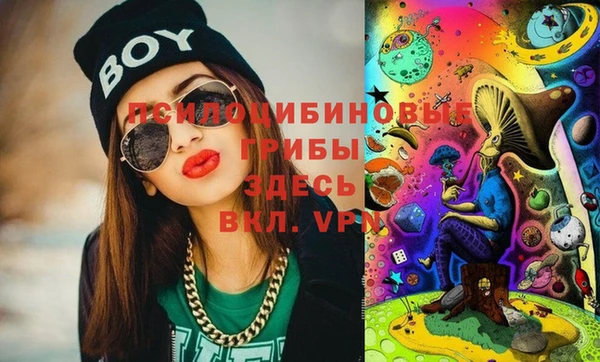 мдпв Абдулино